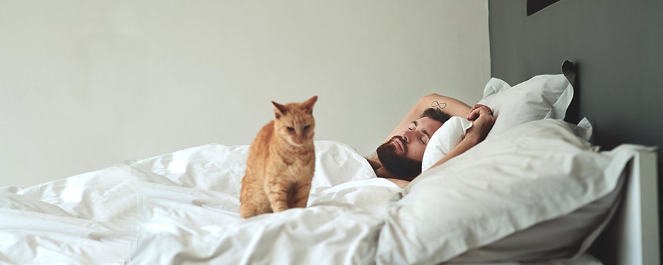 Man slaapt met kat op zijn bed