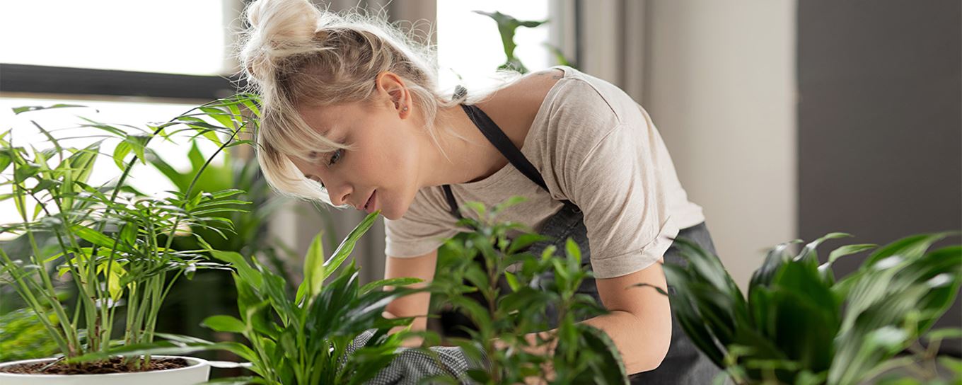 Vrouw is bezig met het verzorgen van planten
