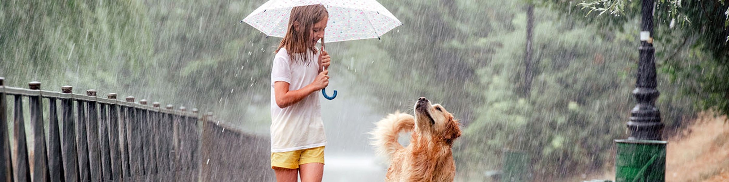 Kindje met paraplu en hond in de regen