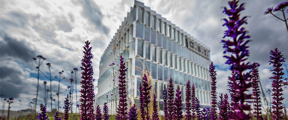 Pand a.s.r. in het voorjaar | DIt is de tijd van doen | a.s.r.