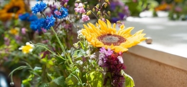 Afbeelding van een bos wilde bloemen