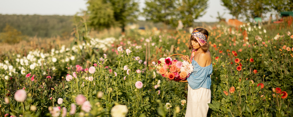 Jonge vrouw plukt bloemen