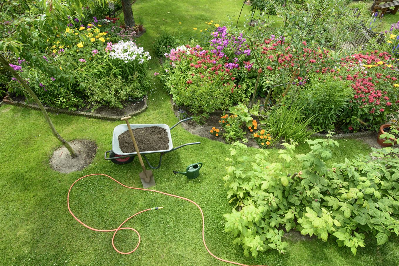 tuin met planten en gras en een kruiwagen in het midden
