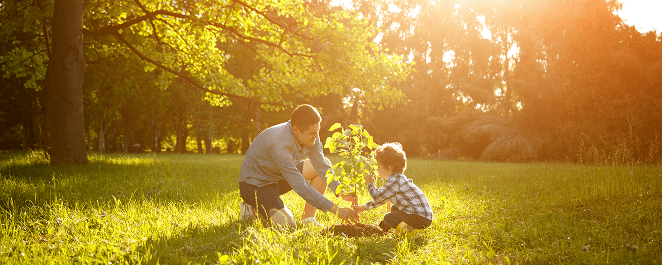 Afbeelding van een vader en een zoon die een boom planten