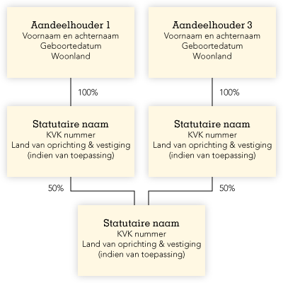 voorbeeld van organogram
