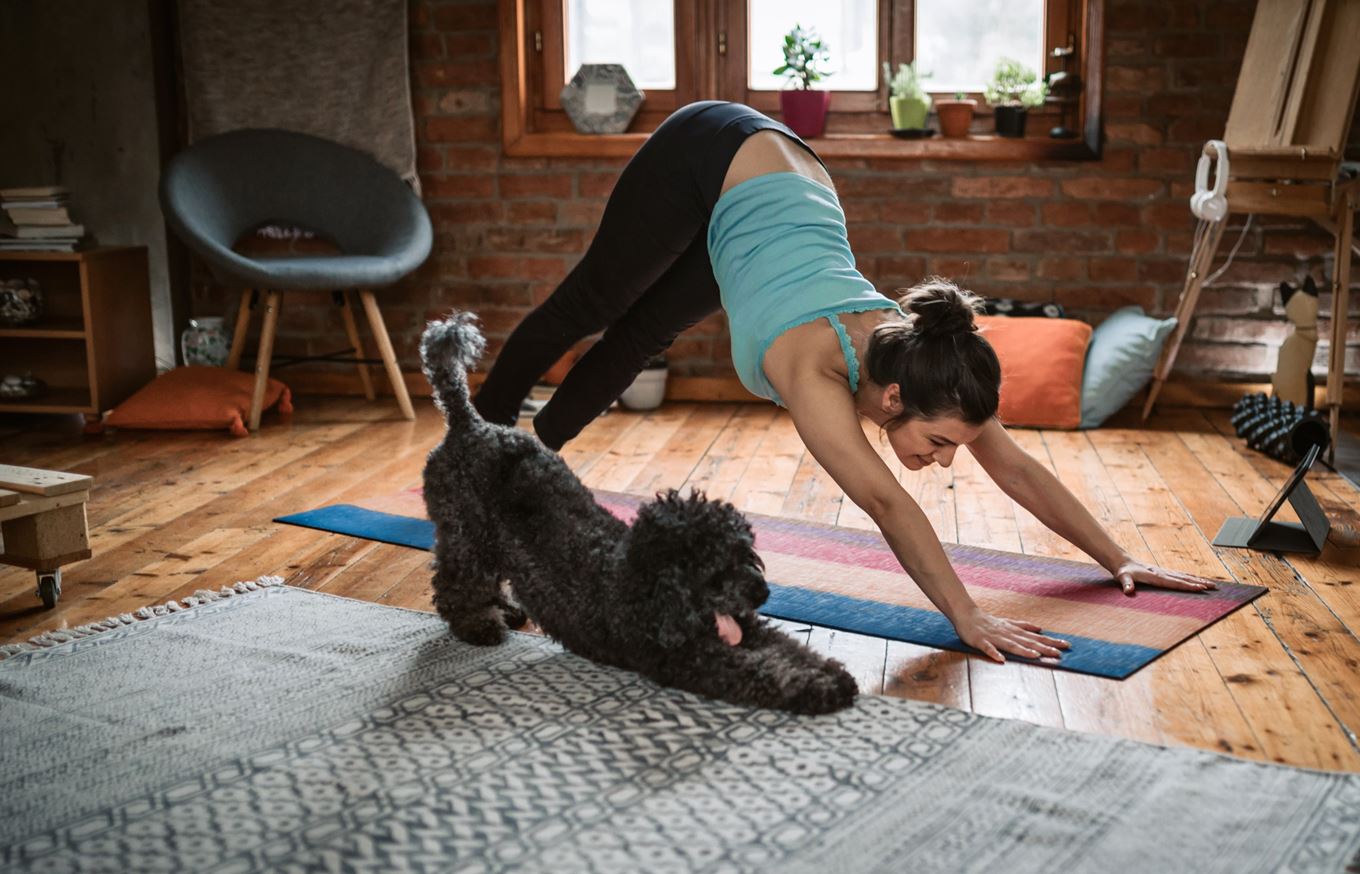 Vrouw doet yoga samen met hond